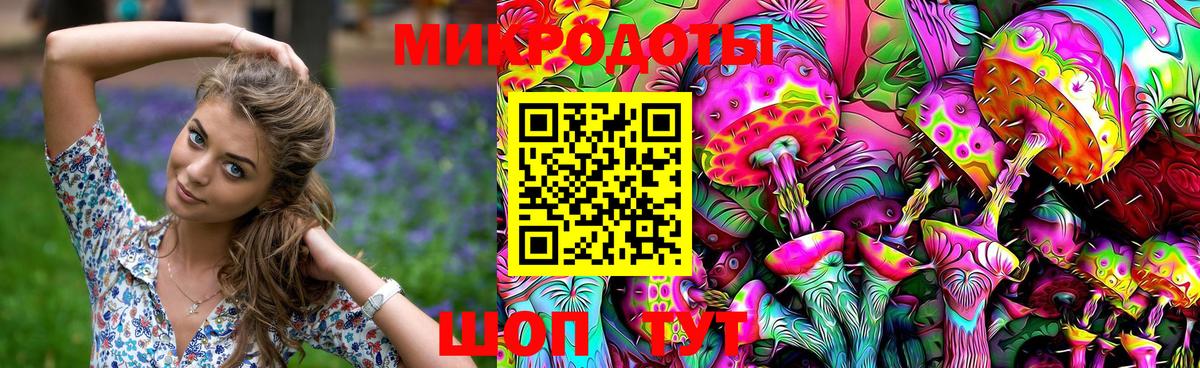 Курчалой  Псилоцибиновые грибы Magic Shrooms  продажа наркотиков  Вход с VPN 