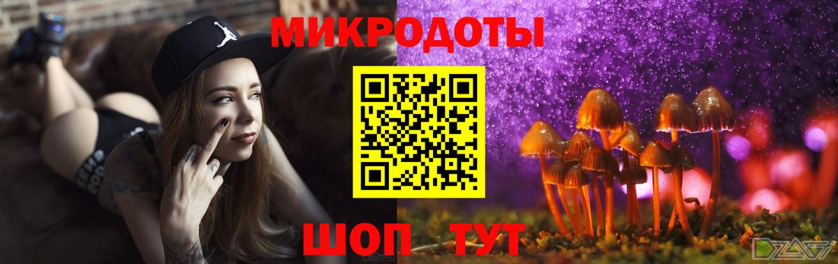 Галлюциногенные грибы ЛСД Курчалой